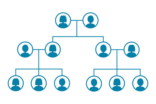 Family trees isolate on white background. Family trees isolate on white background. family trees stock illustrations