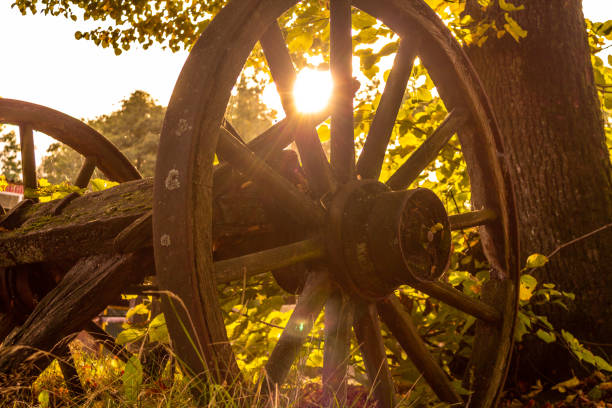 istock An old horse-drawn carriage in autumn 1282805546