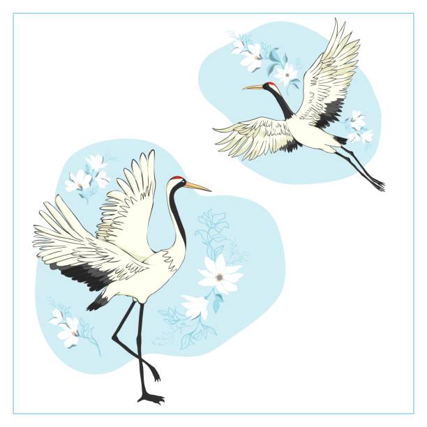 ilustrações de stock, clip art, desenhos animados e ícones de set of birds. crane, stork, heron. vector. - traditional culture heron bird animal