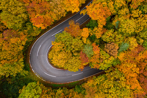 very close aerial view of curvy road in autumn - indian summer series with colorful trees full of red and yellow foliage