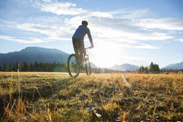 Autumn landscape of city on sunset. Bike stand in grass on autumn field under dramatic blue sky.