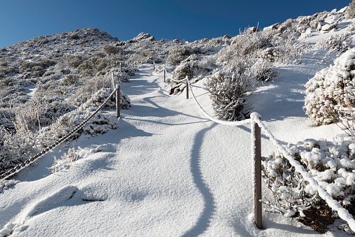 trekking path in the Teide national park after snowfall