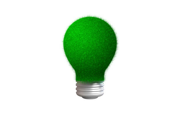 istock 3D Light bulb made of grass. Sustainability and environmental concept. 1282819786