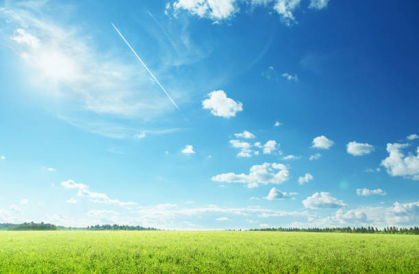 春の草と完璧な空のフィールド - cloud cloudscape sky sun ストックフォトと画像