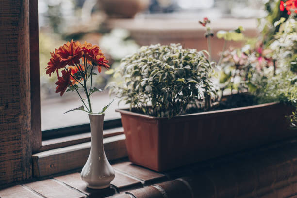 istock thin white vase with orange flowers on the windowsill with plants 1282824303
