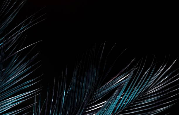istock Gold palm leaves isolated on a black background  top view frame with copy space. abstract poster. 1282826221