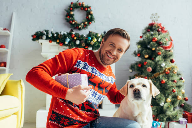 istock joyful man in sweater cuddling labrador and holding present near decorated christmas tree 1282826372