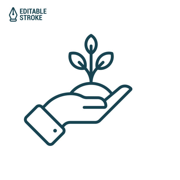 ilustrações de stock, clip art, desenhos animados e ícones de hand holds tree or plant. outline vector icon with editable stroke - small plants