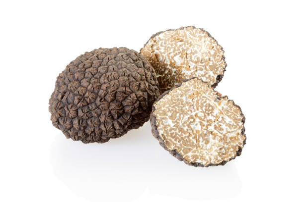 istock Black truffle and slices isolated on white, clipping path included 1282827907