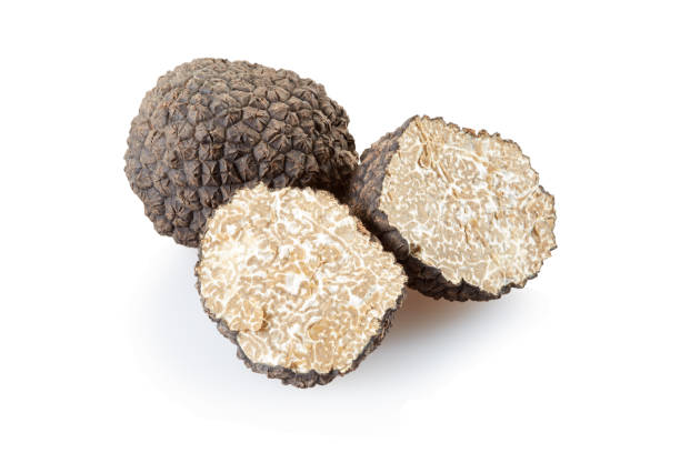 istock Black truffle and sections isolated on white, clipping path included 1282827909
