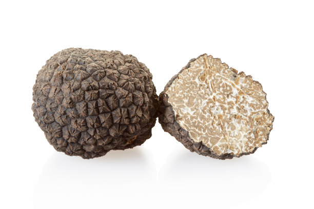 istock Black truffle and section isolated on white, clipping path included 1282827912