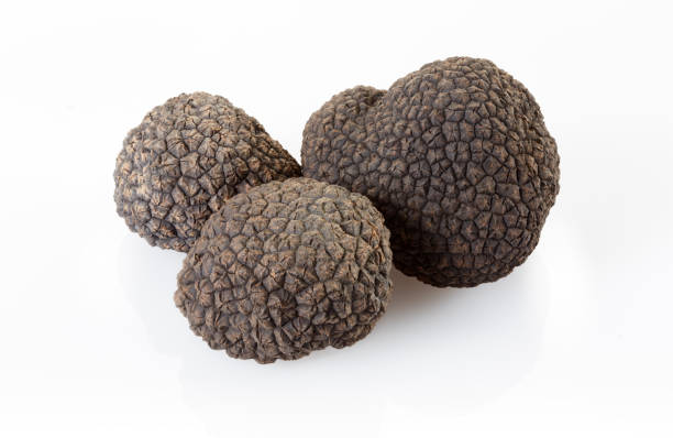 istock Black truffles isolated on white, clipping path included 1282827913
