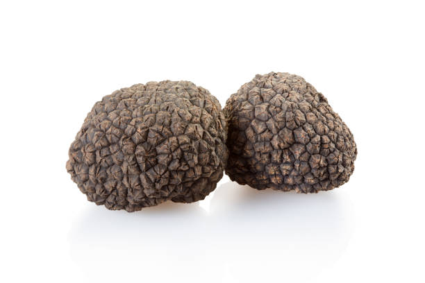 istock Two black truffles isolated on white, clipping path included 1282827916