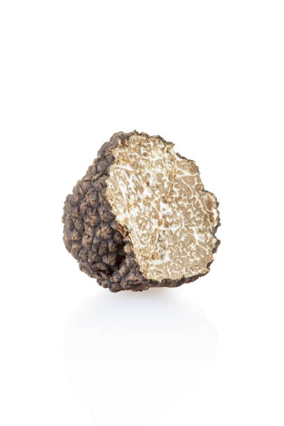 istock Black truffle section isolated on white, clipping path included 1282827922