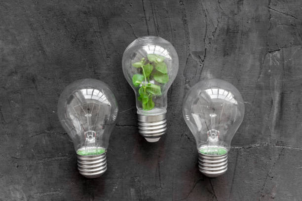 istock Light bulb with green grass - renewable energy eco concept 1282828291