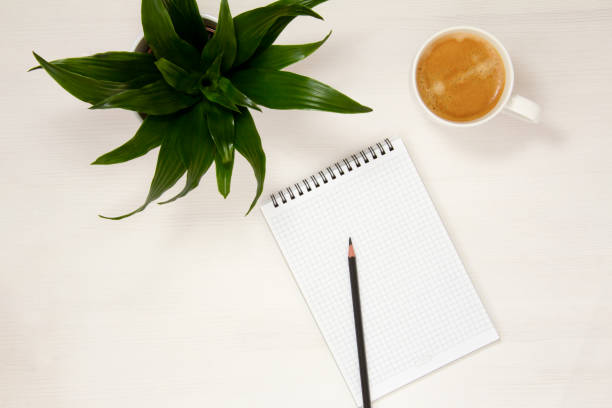 A workplace with a Notepad, pencil, coffee Cup and potted flower is placed on a white background. Flat spoon, top view