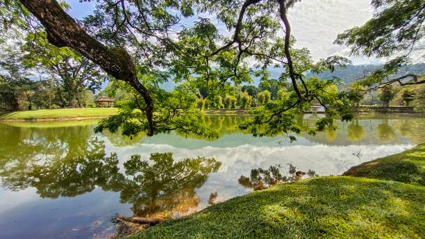 istock Taiping Lake Garden 1282830531