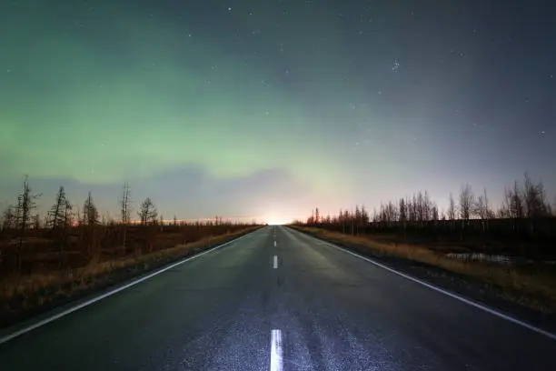 Northern lights (Aurora Borealis) over the road and the dry tundra