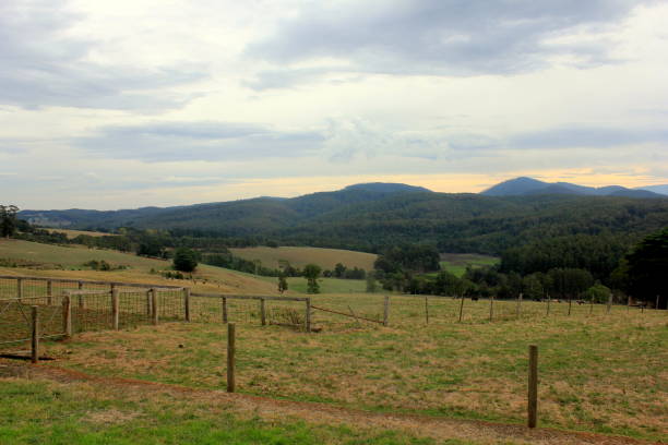 istock Regional Victoria, Australia 1282837383