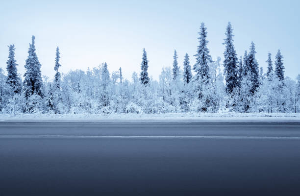 carretera en el bosque de invierno - landscape fir tree nature sunrise fotografías e imágenes de stock