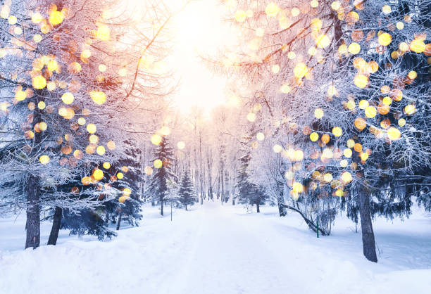 invierno de navidad fondo borroso con luces guirnaldas, fondo festivo de vacaciones. - winter sunrise mountain snow fotografías e imágenes de stock