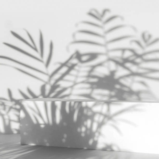 istock White empty stand on light background with palm shadows overlay. Abstract podium, product display. 1282839705