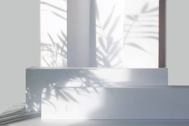 istock White empty stands on light background with palm shadows overlay. Abstract podium, product display. 1282839783