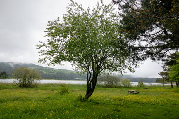 Picnic area near the lake at cloudy sky