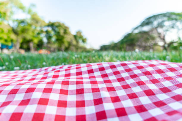 istock Red checkered tablecloth texture with on green grass at the garden 1282841049
