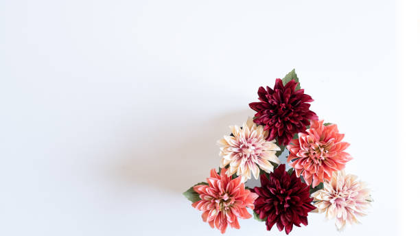 istock Decorative Pink Flowers with a White Background 1282842579