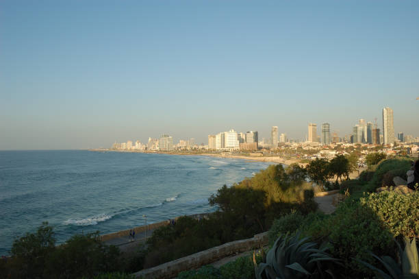 mar azul, paisagem da cidade, dia ensolarado brilhante, plantas verdes, arranha-céus - israel tel aviv skyscraper seascape - fotografias e filmes do acervo