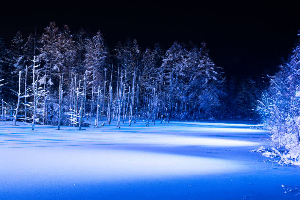 istock Illuminated fantastic winter blue pond in Biei 1282844315