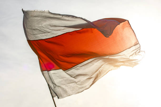 White red white flag. New Belarus flag White red white flag. Historical Belarus national flag againts the sun belarus stock pictures, royalty-free photos & images