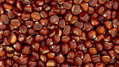 Sweet Chestnuts background for the backdrop. Flat lay of chestnut