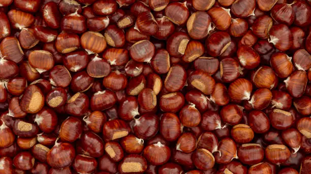 Photo of Sweet Chestnuts background for the backdrop. Flat lay of chestnut