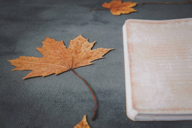 livros, caderno, lápis para desenhar com folhas de outono - dry leaves audio - fotografias e filmes do acervo