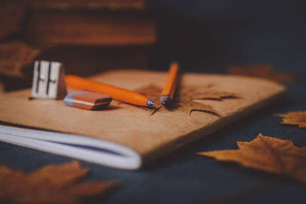books, notebook, pencils for drawing with autumn leaves