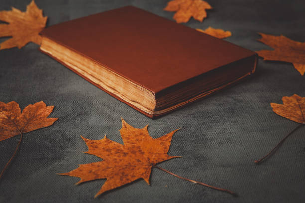 livros, caderno, lápis para desenhar com folhas de outono - dry leaves audio - fotografias e filmes do acervo