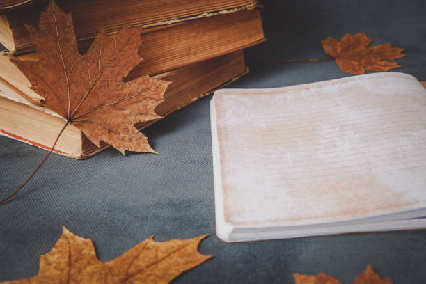 livros, caderno, lápis para desenhar com folhas de outono - dry leaves audio - fotografias e filmes do acervo