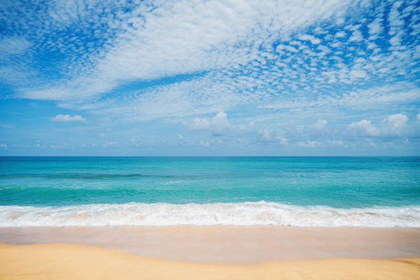 istock Wave of the sea on the sand beach 1282848701