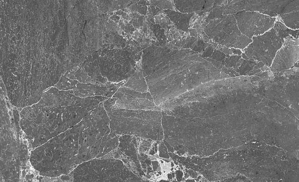 istock marble texture in gray with white veins 1282849240