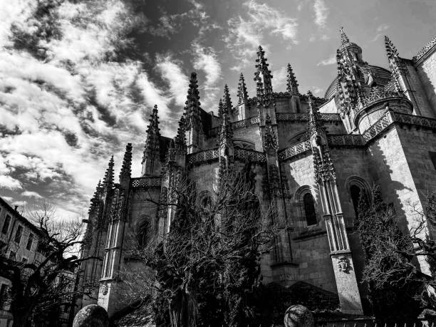 I was looking up at the cathedral of Segovia and took it