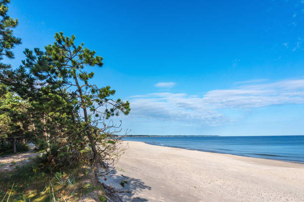 istock beautiful blue sky over the sea, seascape and waves 1282851202