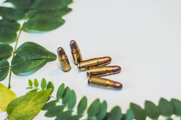 Bullets for gun and green leaf stock photo stock photo
