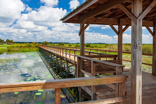 View of the boardwalk from an observation deck providing access to the Twin Oaks Conservation Area in Osceola County, FL  - looking in from Lake Tohopekaliga - an 18,810-acre lake located southeast of the city of Kissimmee which is famous among eco-tourists for its Bass Fishing, Nature and Wildlife views, and Airboat rides.