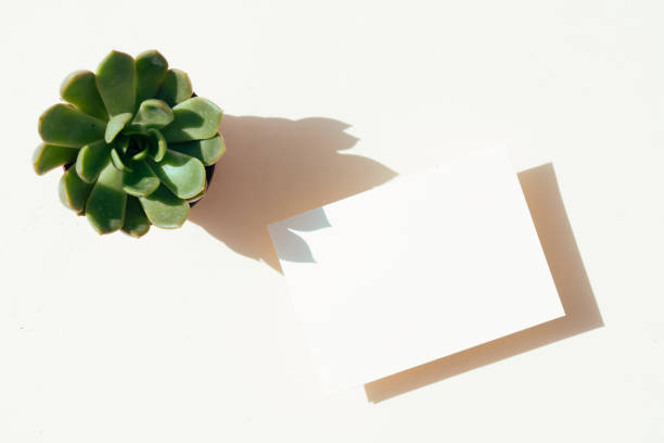 istock summer stationery mock-up scene 1282862418