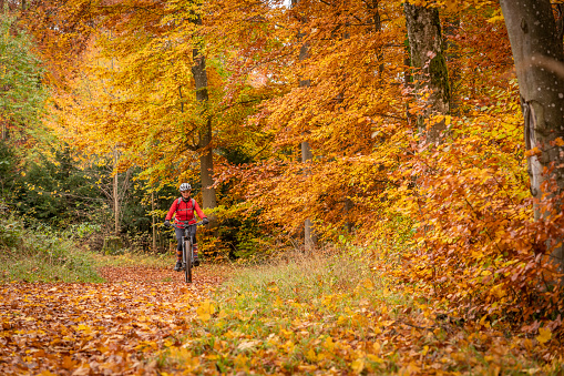 sympathetic active senior woman, riding her electric mountainbike in the gold colored autumn forests of the Swabian Alb