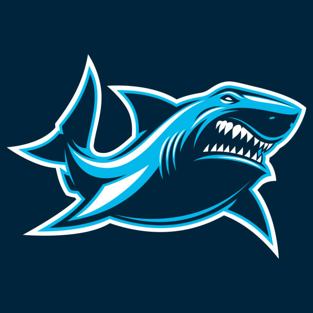 ilustraciones, imágenes clip art, dibujos animados e iconos de stock de ilustración vectorial, gran tiburón feroz blanco - shark animal blue cartoon