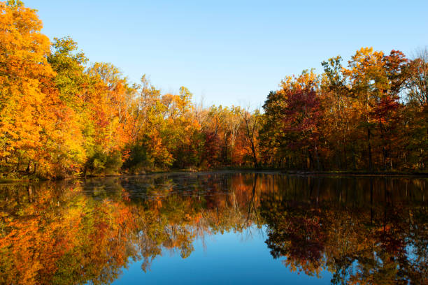 istock Fishing pond in Autumn 1282865452