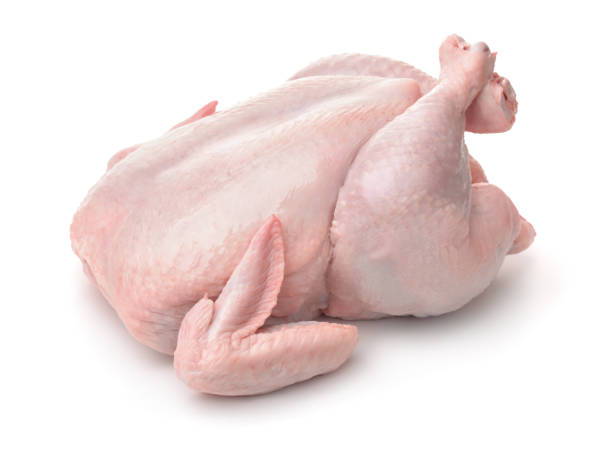 pollo crudo fresco - encuadre de cuerpo entero fotografías e imágenes de stock